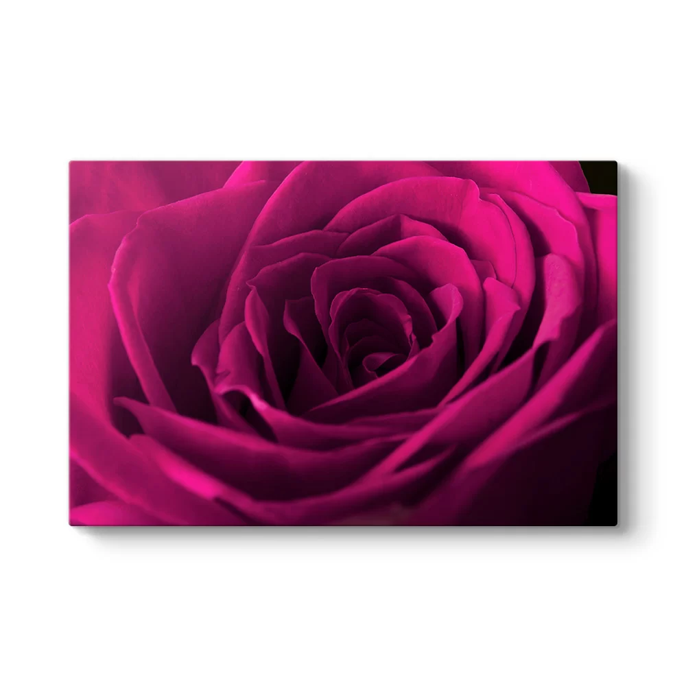 Bordo Gül Tablosu - Model 1
